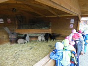 Výlet do svíčkárny Šestajovice